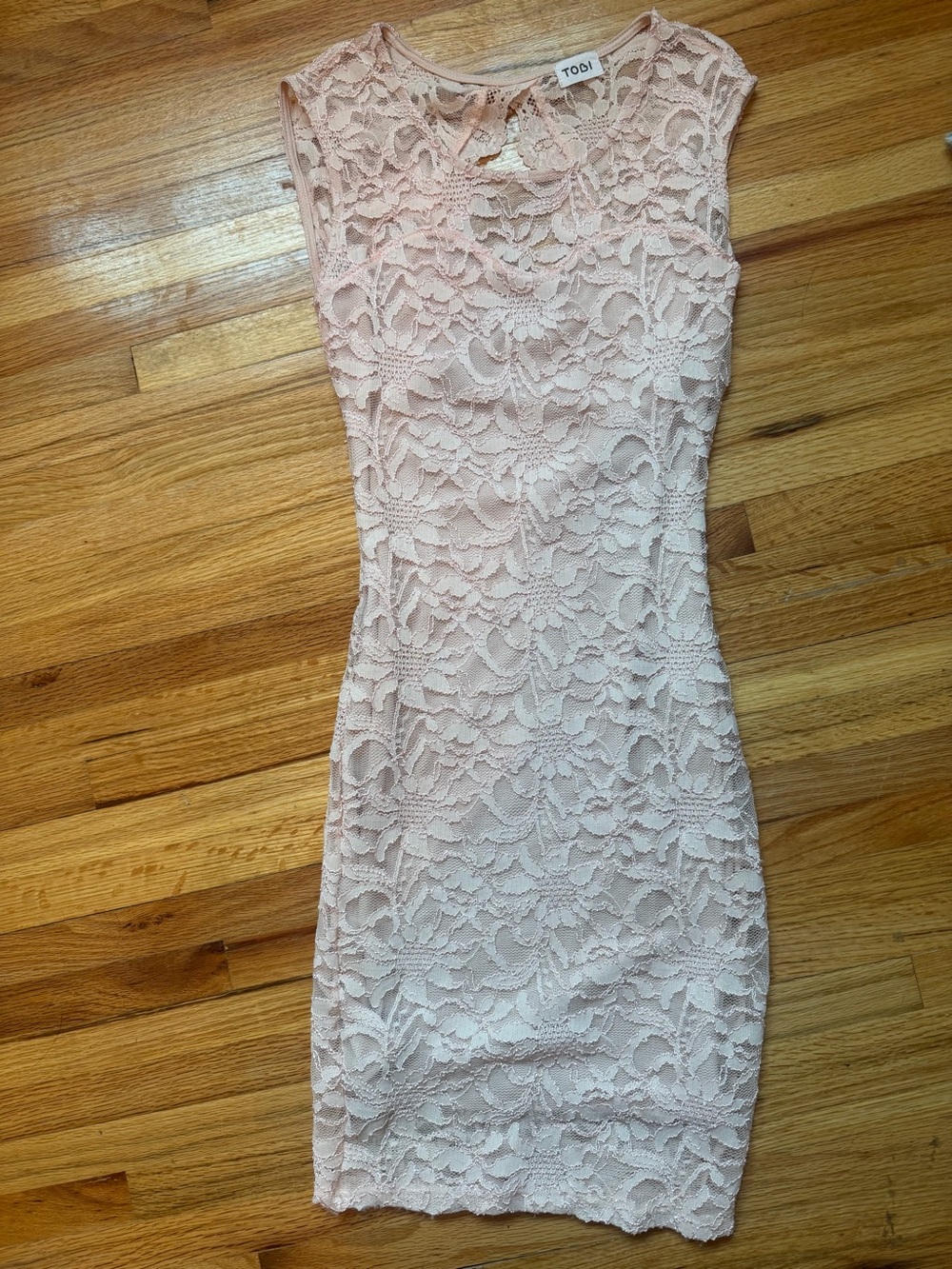 Tobi- Blush Lace Sheath Dress